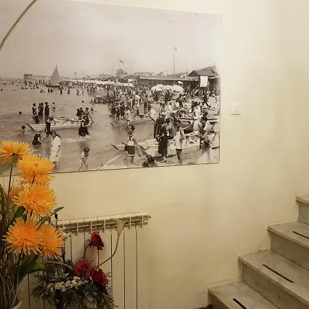 Apartments B&B Viareggio Appartamento